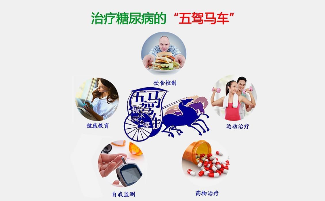 治疗糖尿病的“<a href='http://www.zksip.com/ktzs/tnbbfz/138.html' target='_blank'><u>五驾马车</u></a>”