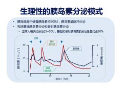 胰岛素泵时间生物学基础率分段原理