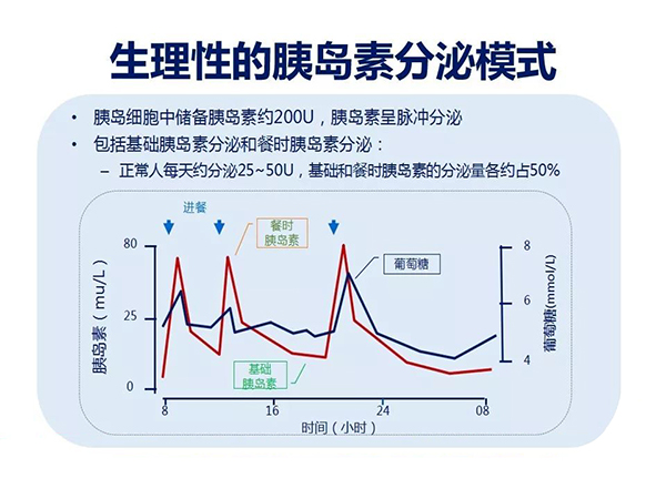 胰岛素需求图